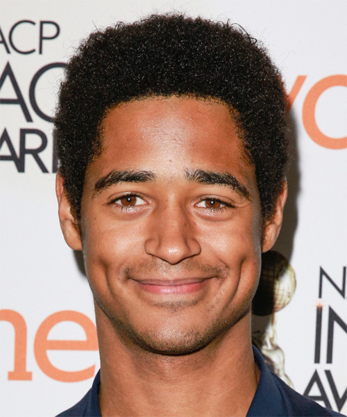 Alfred Enoch Short Curly   Black   Hairstyle