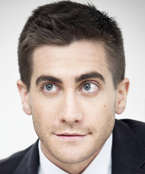 Jake Gyllenhaal Short Straight    Ash Brunette   Hairstyle