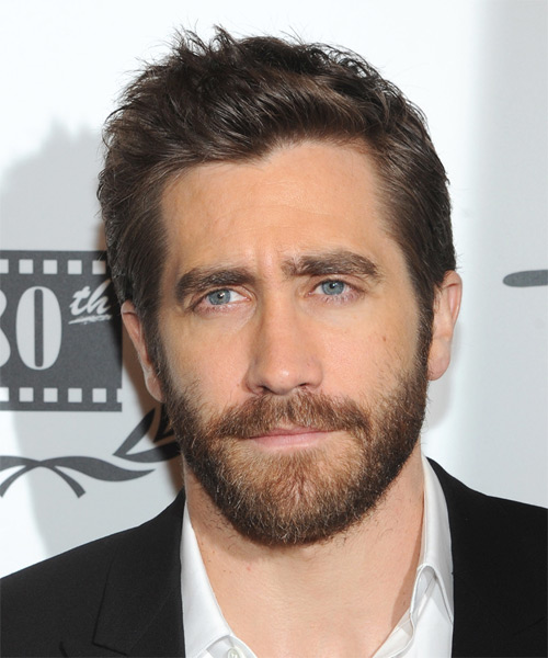 Jake Gyllenhaal Short Straight    Brunette   Hairstyle