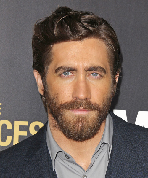 Jake Gyllenhaal Short Wavy    Brunette   Hairstyle