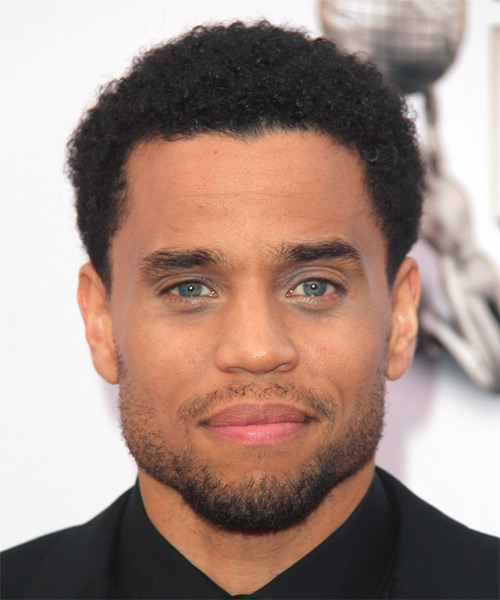 Michael Ealy Short Curly   Black   Hairstyle