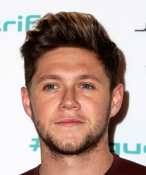 Niall Horan Short Straight    Hairstyle 