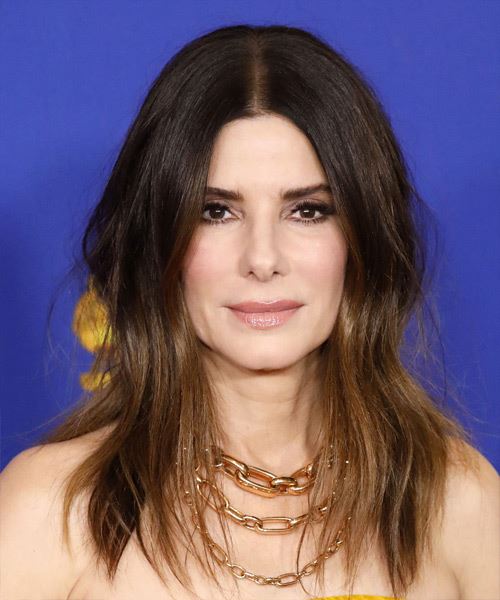 Sandra Bullock Long Straight   Black  and  Brunette Two-Tone   Hairstyle