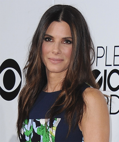 Sandra Bullock Long Straight   Dark Brunette   Hairstyle   with Light Brunette Highlights - side on view