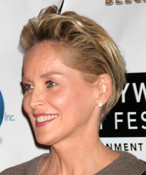 Sharon Stone Short Straight   Dark Blonde   Hairstyle - side on view