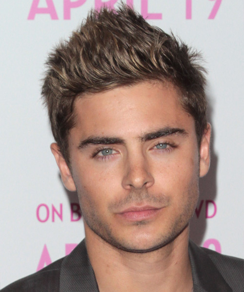 Zac Efron Short Straight   Light Brunette   Hairstyle
