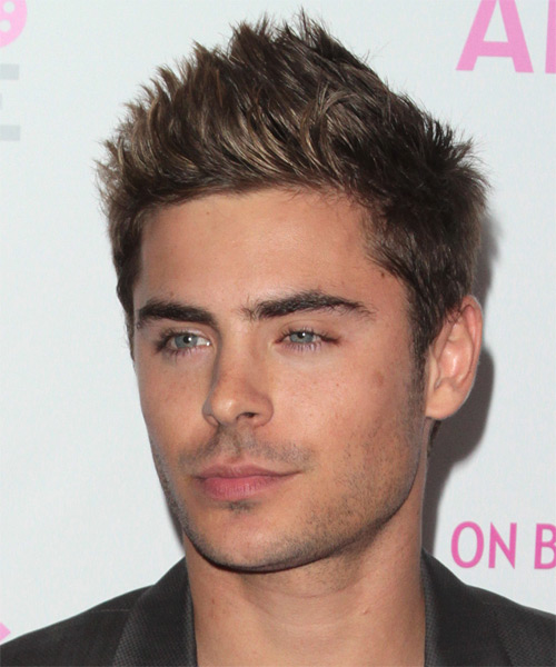 Zac Efron Short Straight   Light Brunette   Hairstyle - side on view
